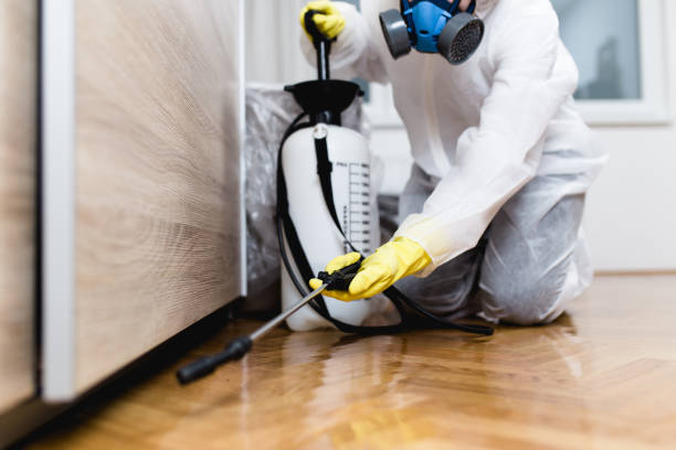 Best Termite Control Services  in Clio, AL
