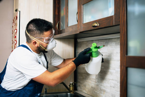 Best Pest Inspection Near Me  in Clio, AL