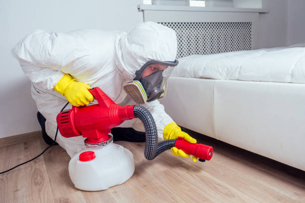Best Pest Removal Services  in Clio, AL