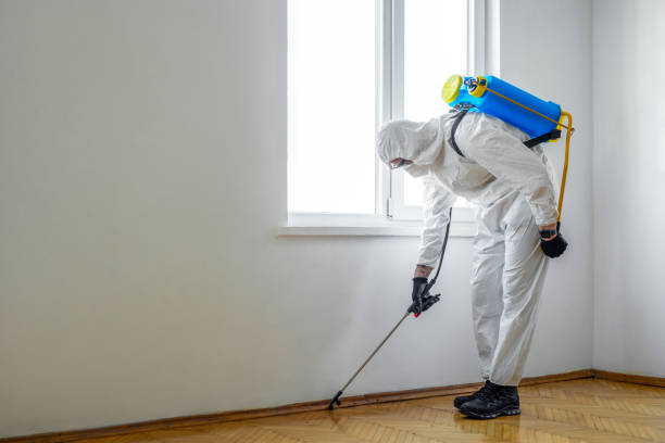 Pest Control Cost in Clio, AL