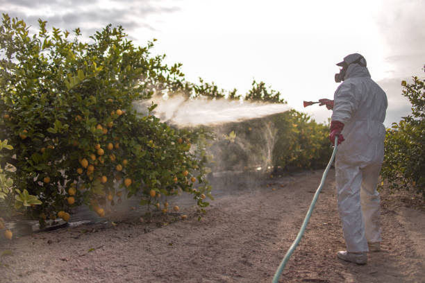 Professional Pest Control in Clio, AL