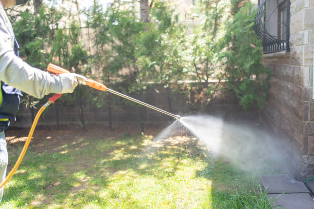 Best Rat Extermination Near Me  in Clio, AL