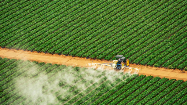 Best Local Pest Control Services  in Clio, AL