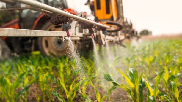Best Pest Control Cost  in Clio, AL